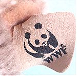  Λούτρινο Ζωάκι Ρακούν της WWF, μεγάλο!
