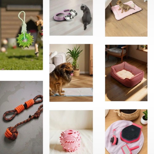 Pet supplies for small and medium dogs new, set with bed and toys