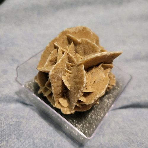Desert rose sample from Mexico