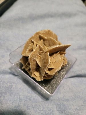Desert rose sample from Mexico