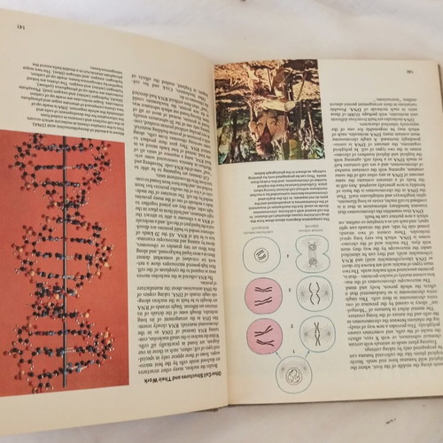 Through the Microscope vintage science book used