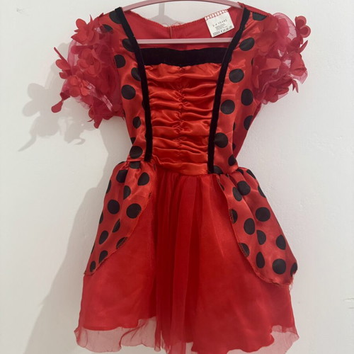 Ladybug carnival costume like new, includes dress, headband, belt, wings, 3-4 years