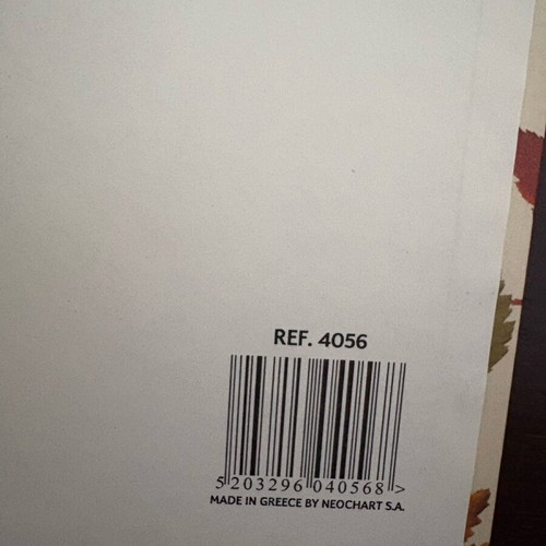 Neochart notebook like new with hardcover and leaf designs