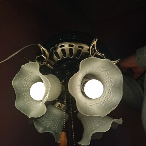 Ceiling fan used with 3 speeds and separate light switch