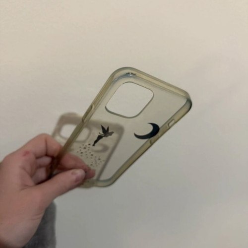 iPhone 12 Pro Max hard case