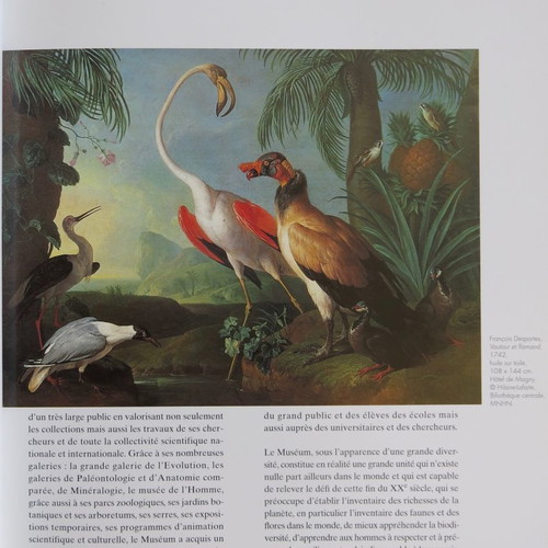 Beaux Arts magazine used for National Museum of Natural History 1994