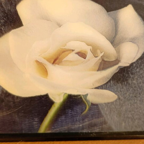 Set of frames with 3d rose image and used frame