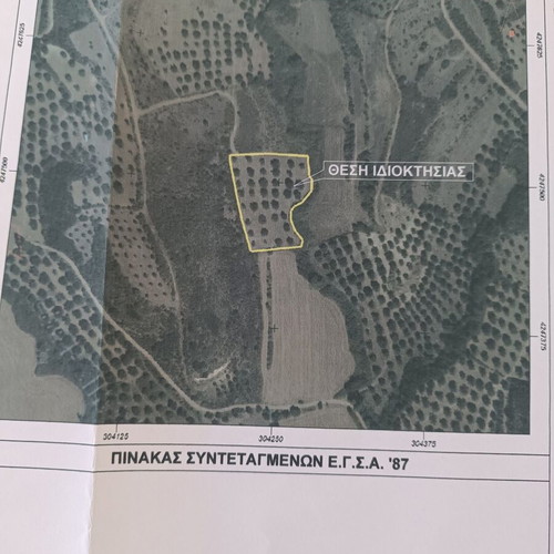 Agricultural land olive grove 4.49 acres in Molycreio Nafpaktos