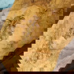 Ραπτομηχανή Jupiter