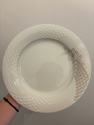 Portofino plates by Hutschenreuther Scala Shape new, pack of 12