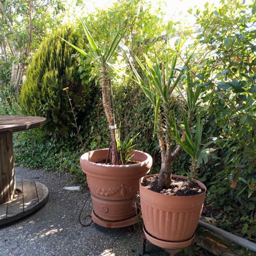 Flower pots set of 4 with handmade iron stand used