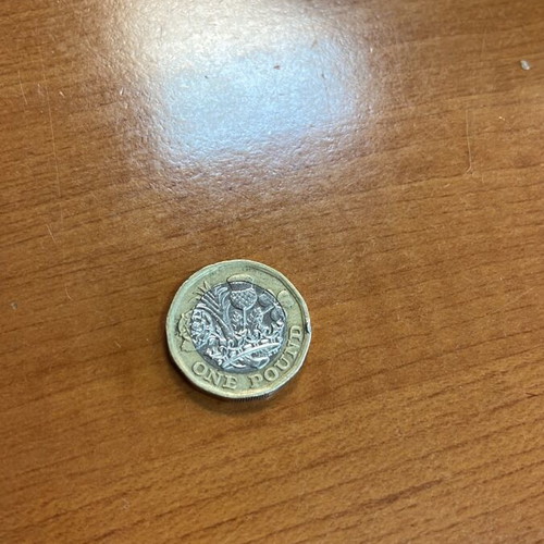 One Pound 2017 coin used
