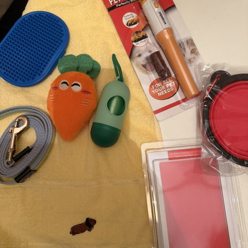 Pet grooming and accessory set for small dog, 8 pieces