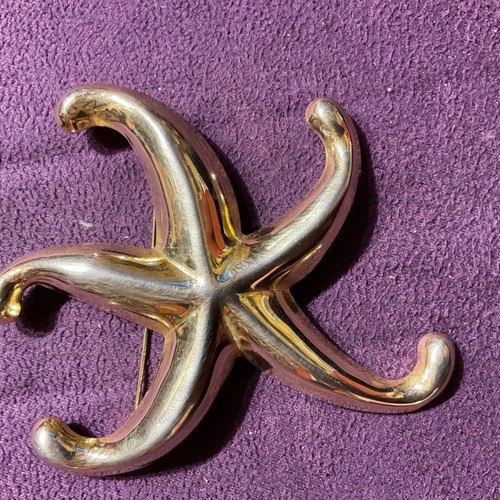 Pin in star shape with beautiful details