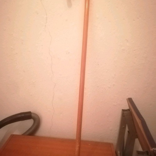 Walking stick and support cane new