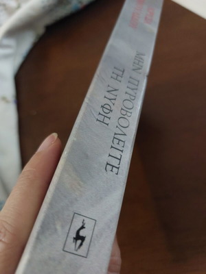 Chrysa Dimoulidou Min Pyrovolete ti Nyfi novel