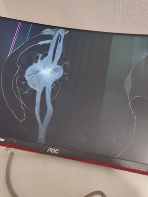 Monitor Aoc C24g2ae/bk