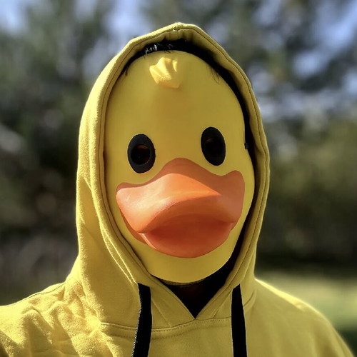 Duck mask new, printed