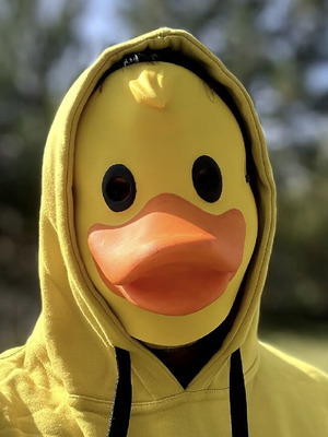 Duck mask new, printed