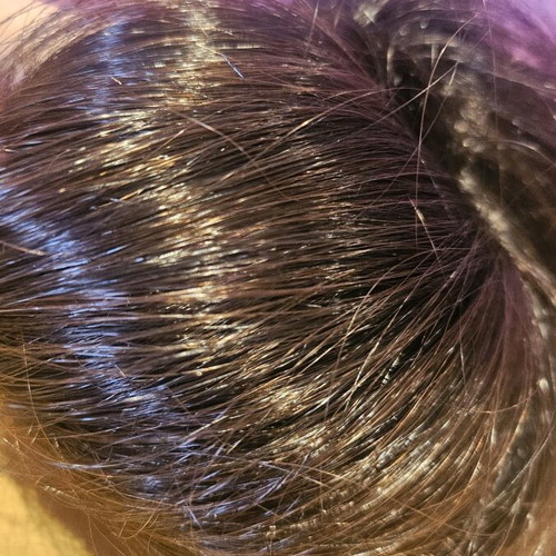 Synthetic Hair Bun with Elastic Like New, Brown Hair Extensions
