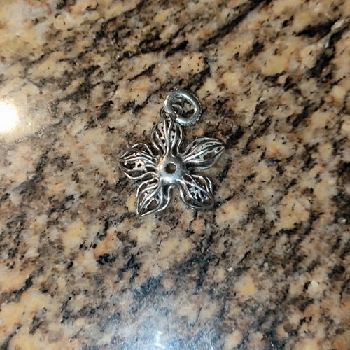 Pandora charm