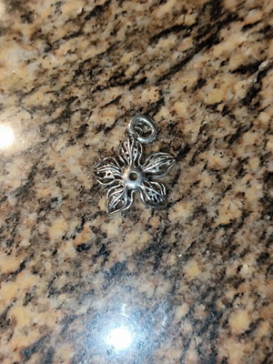 Pandora charm