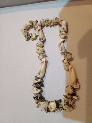 Necklace with unique shells like new