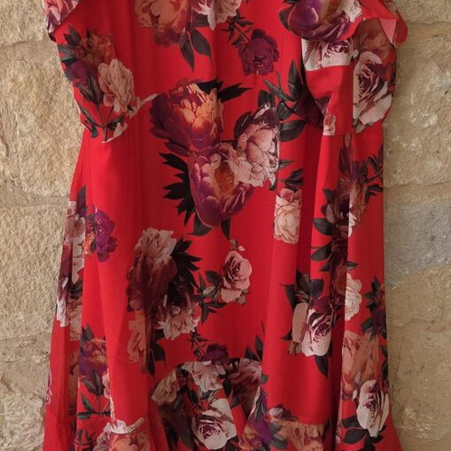 Joanna Hope Red Floral Halter High-Low Ruffle Occasion Dress new