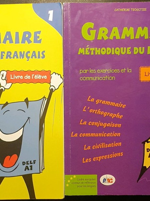 Methodical French Grammar Books new, DELF A1 and A2 levels