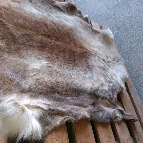 Reindeer Skin New With Dense Hair 130x75cm