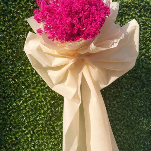 Gypsophila bouquet new, huge 1.60 m