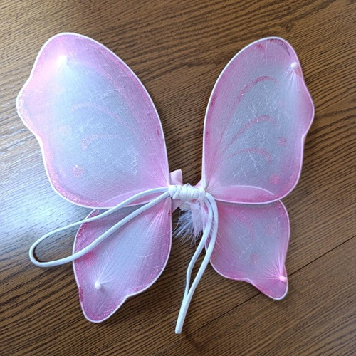 Butterfly wings like new