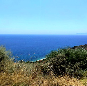 Κορασίδα, Αυλώνα (Εύβοια) - Οικόπεδο 1130τ.μ