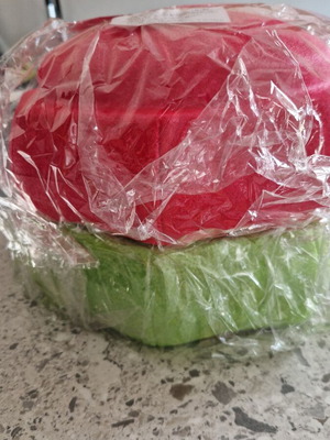 Foam balance stepping stones, red and green, 27.5 cm diameter