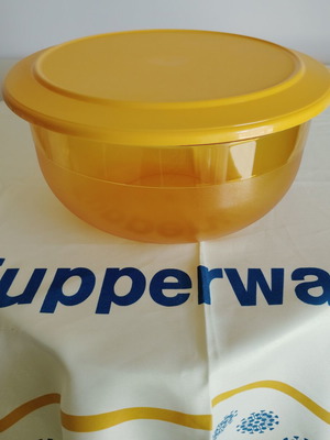 Bowl Servis 3.5 liters new for storage and serving