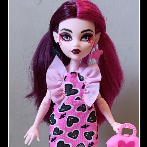 Monster High Draculaura doll with pet and accessories