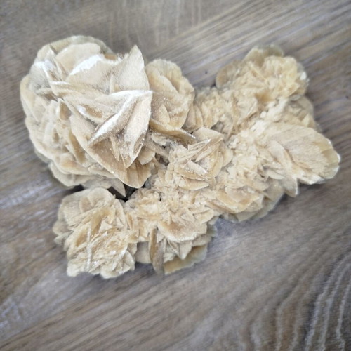 Desert rose used, approximately 13cm