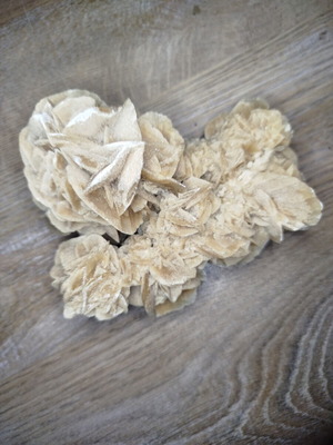 Desert rose used, approximately 13cm