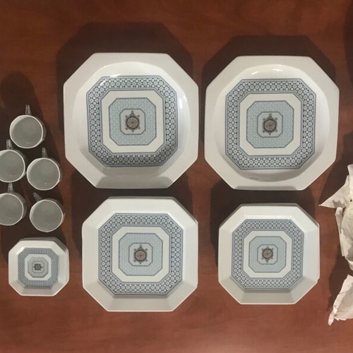 Bernardaud Limoges France Galapagos set like new with porcelain plates and cups