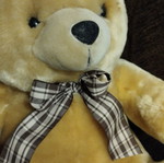Plush teddy bear like new