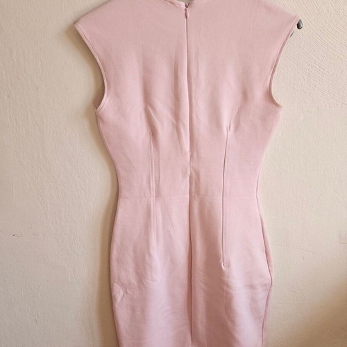 Brand New Zara Body con dress corset design