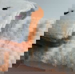  Κορδέλα για τα μαλλιά με λουτρινο τοστ τοστ
