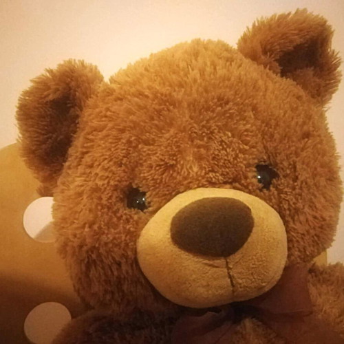 Large Teddy Bear like new, dimensions 64x40