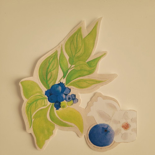 Handmade blue berry sticker new