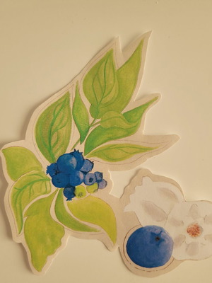 Handmade blue berry sticker new