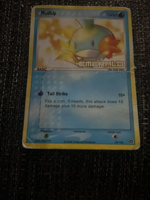 Mudkip Pokémon card used