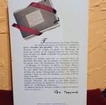 Βιβλίο Γυναίκα από Βελούδο σαν καινούργιο του Φρέντυ Γερμανού