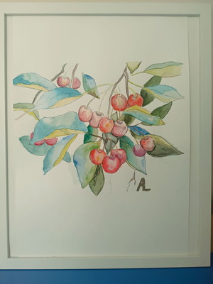 Cherry painting, watercolor, 30x40 cm, framed