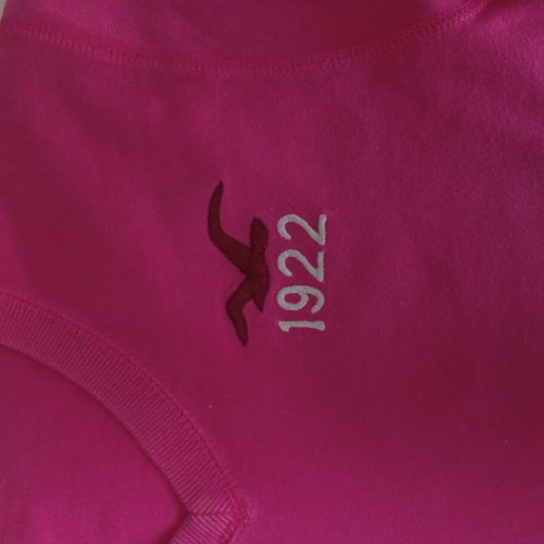 Hollister unisex surfer cut short sleeve shirt like new, pink