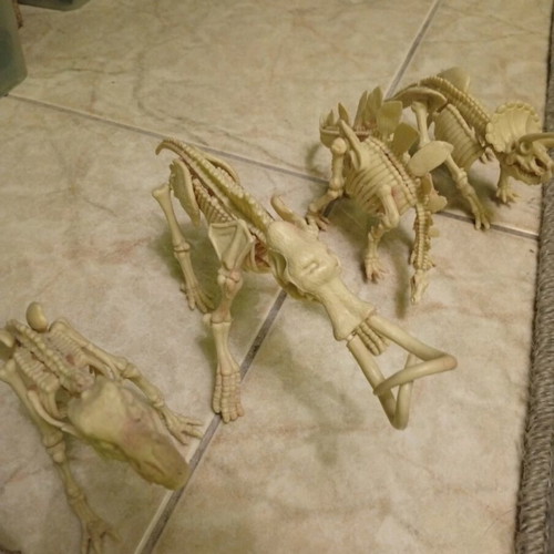Dinosaur skeletons like new, set of 4 with Triceratops, Mammoth, Tyrannosaurus, Stegosaurus